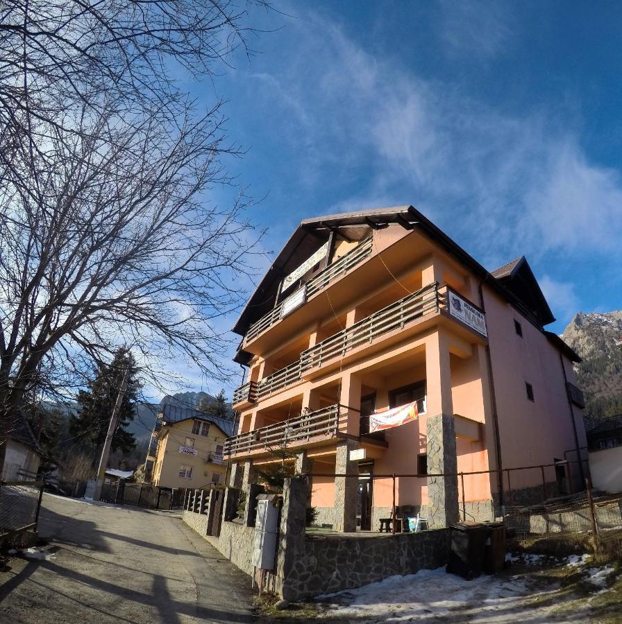 Pensiunea N.A.M Buşteni Exterior foto