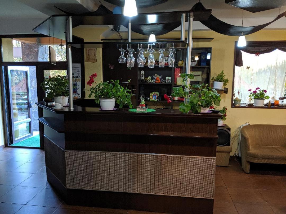 Pensiunea N.A.M Buşteni Exterior foto